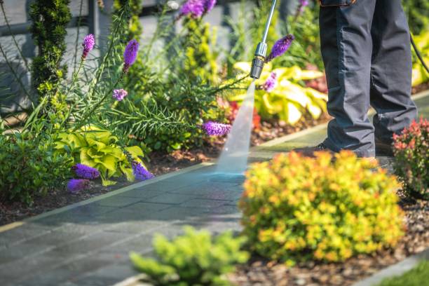 Professional Pressure Washing Services in Aurora, IL